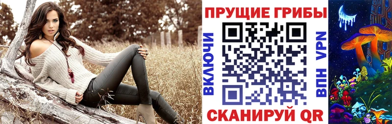 Купить  Верхняя Салда  Псилоцибиновые грибы Psilocybe 